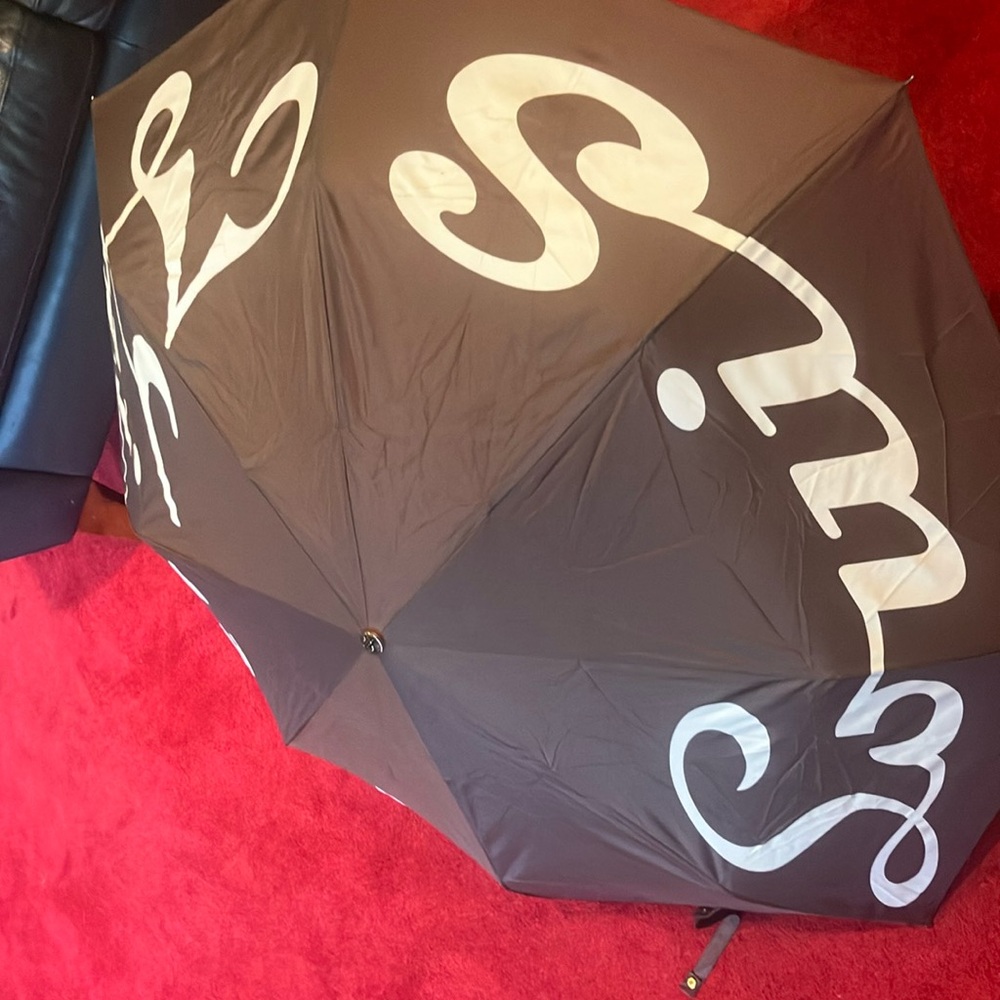 Louis Vuitton (new with tags) Umbrella with brown velvet case.